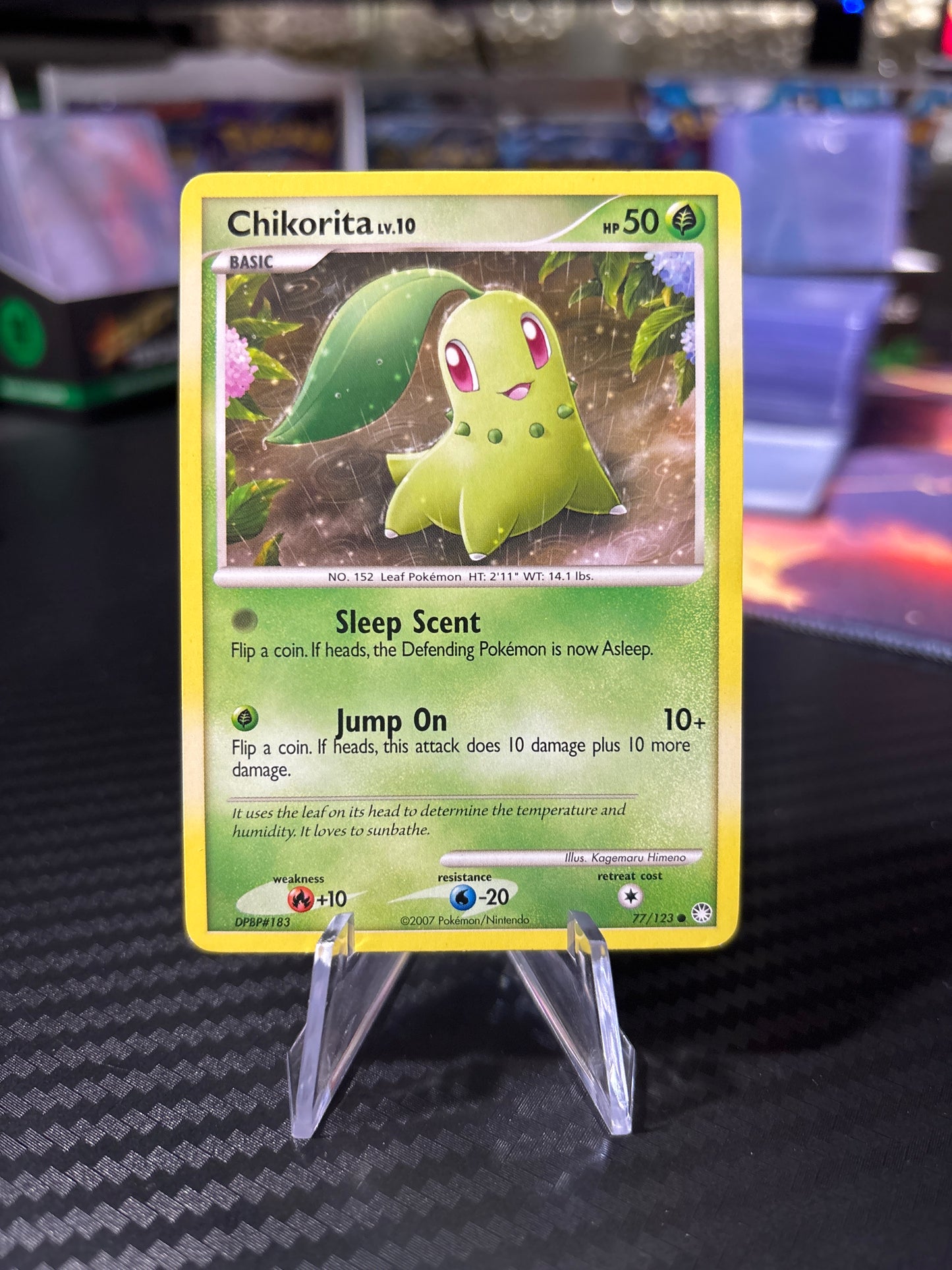 Chikorita Common #77 - Mysterious Treasures - LP