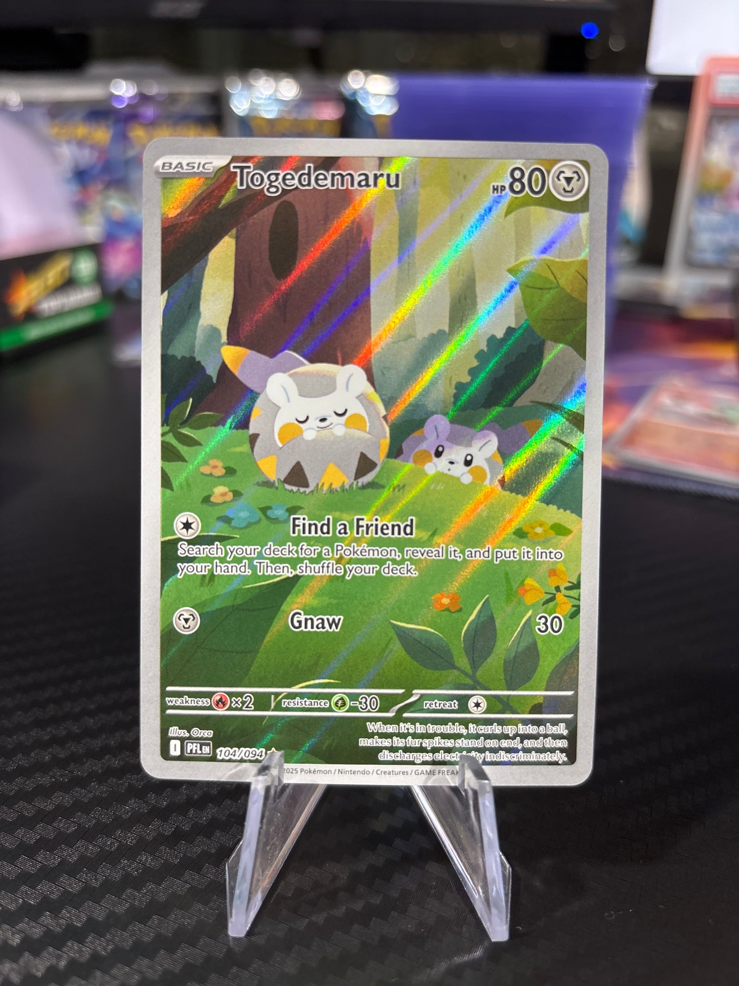 Togedemaru - 104/094 - Illustration Rare - Phantasmal Flames - NM