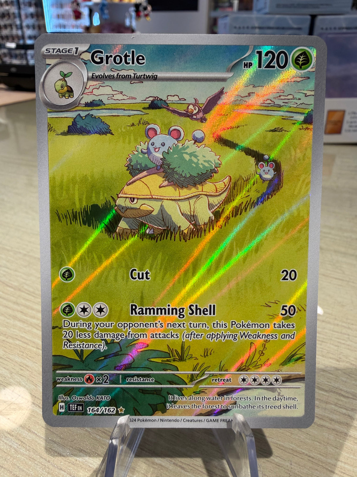 Grotle - 164/162 - Temporal Forces