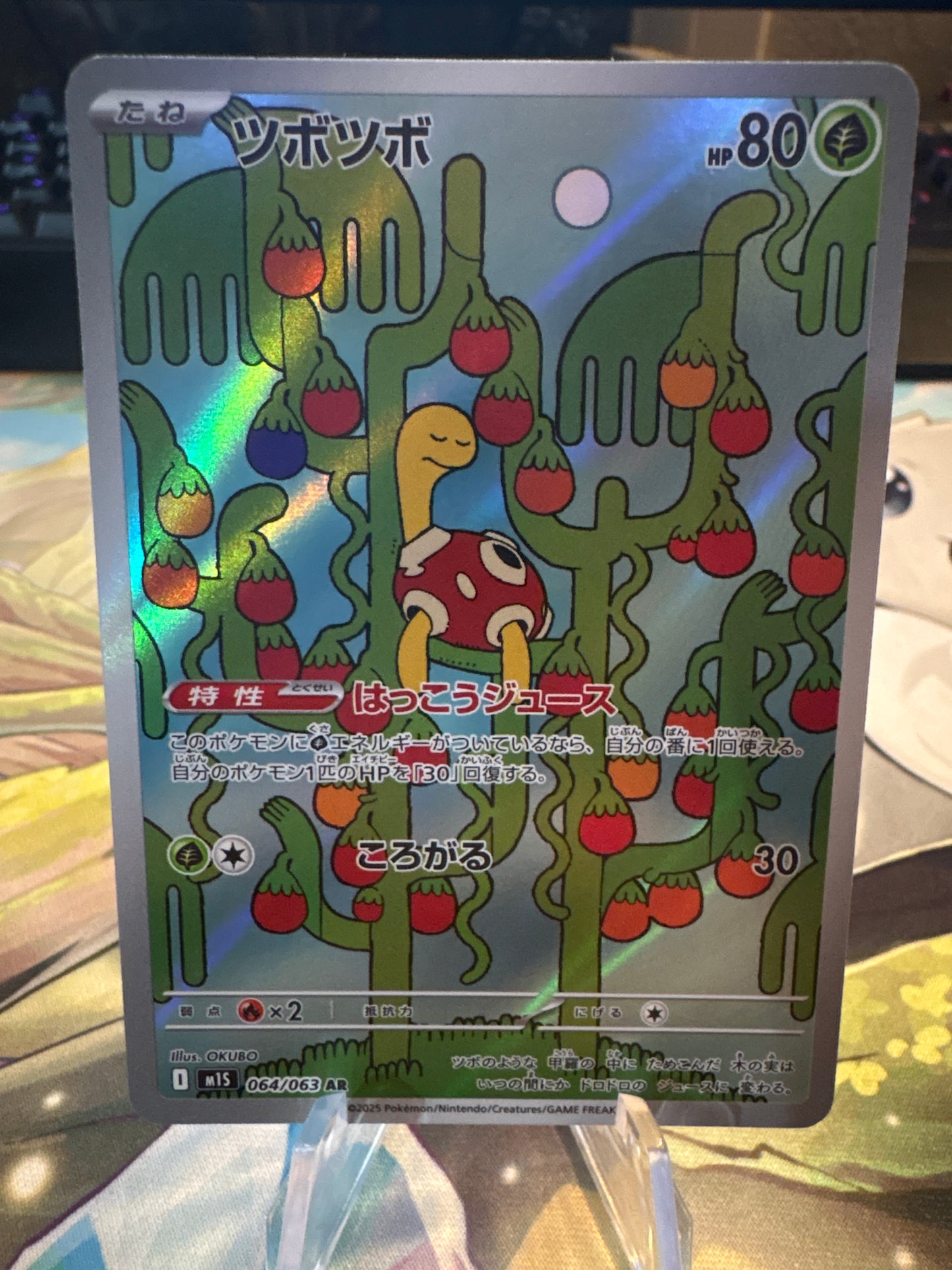 Shuckle 64/63 Mega Symphonia