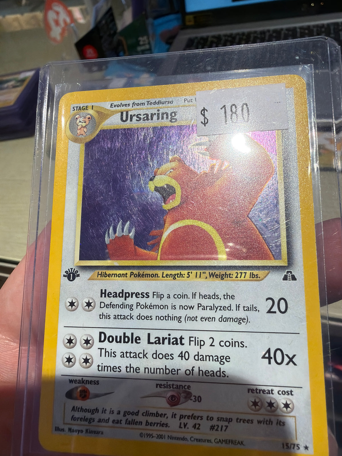 Ursaring Holo - 1st ED - 15/75 - Neo Discovery