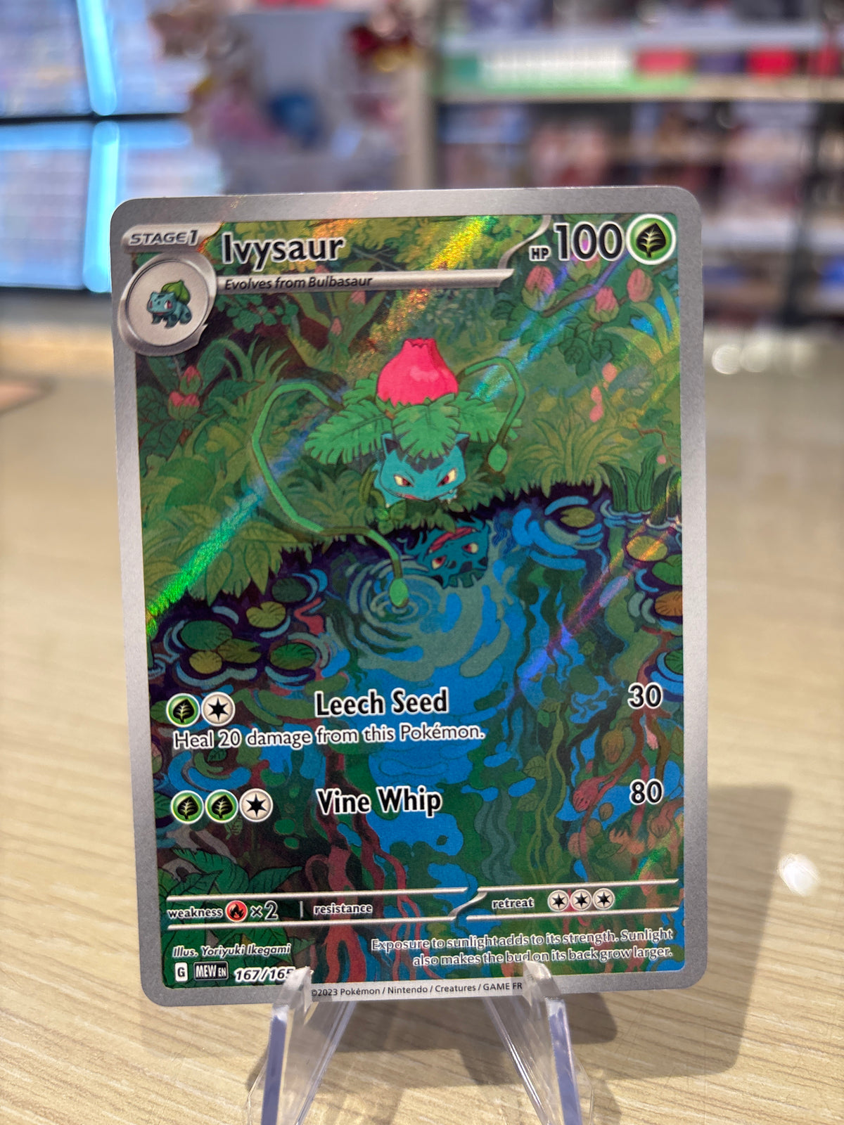 Ivysaur 167/165