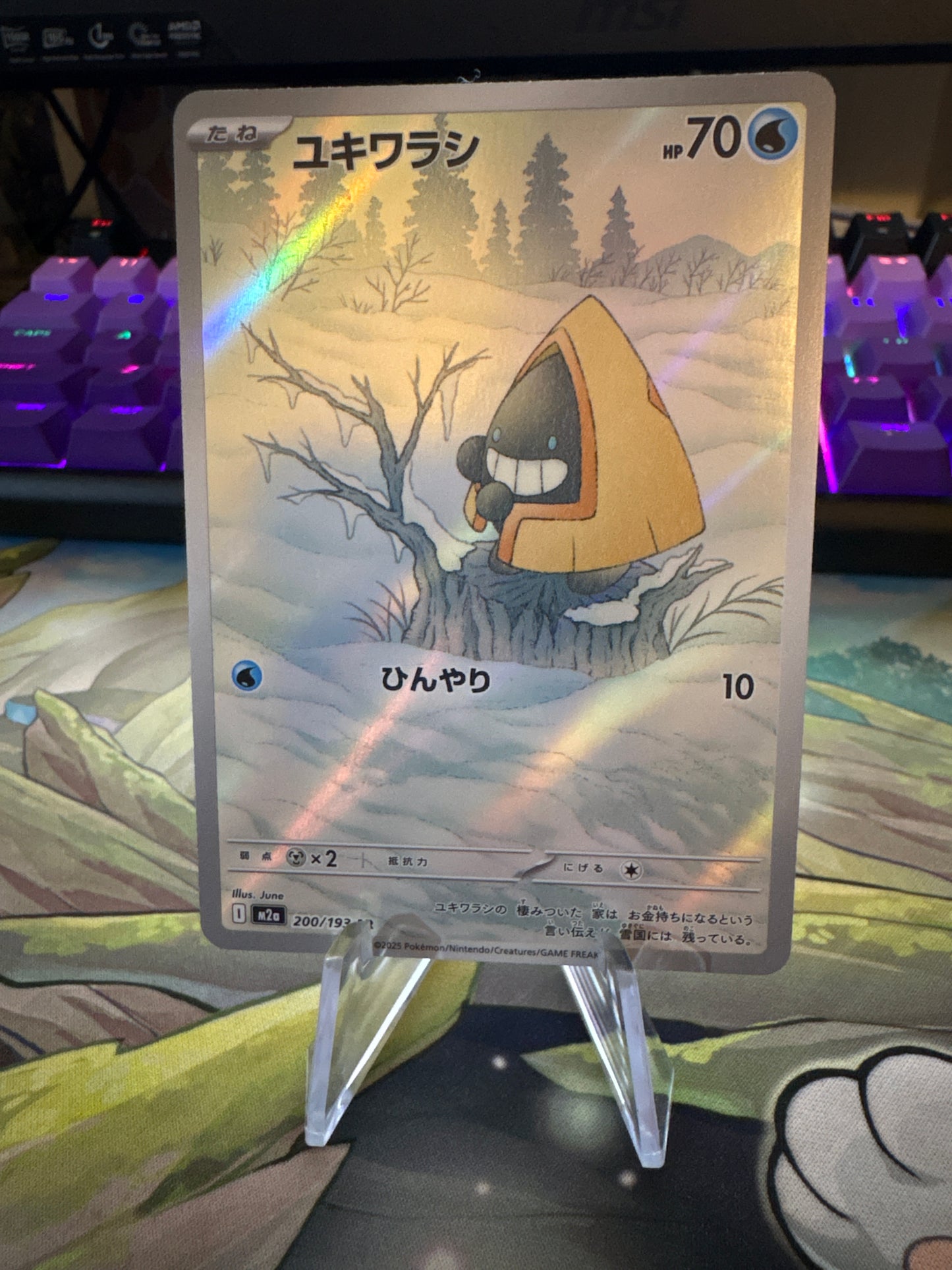 Snorunt AR #200 Mega Dream