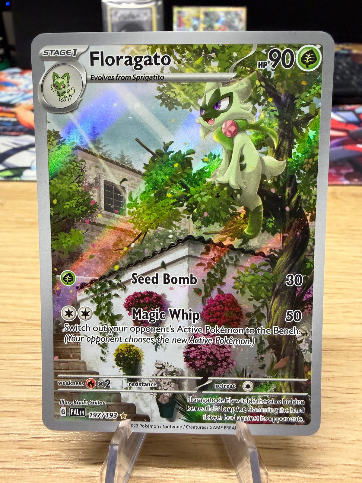 Floragato - 197/193 - Paldea Evolved