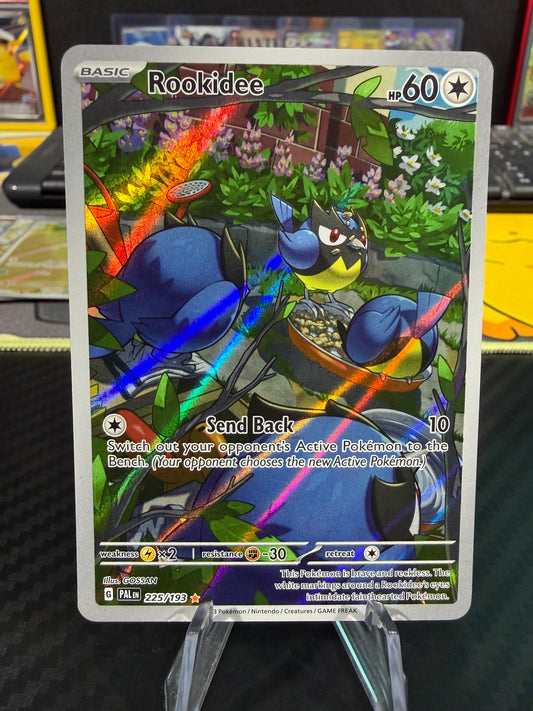 Rookidee - 225/193 - Illustration Rare - Paldea Evolved