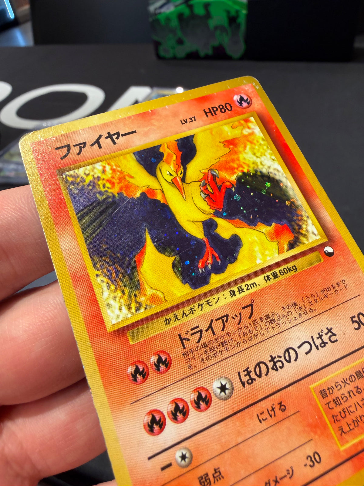 Moltres Holo - No 146 - Red Green Gift Set Japanese