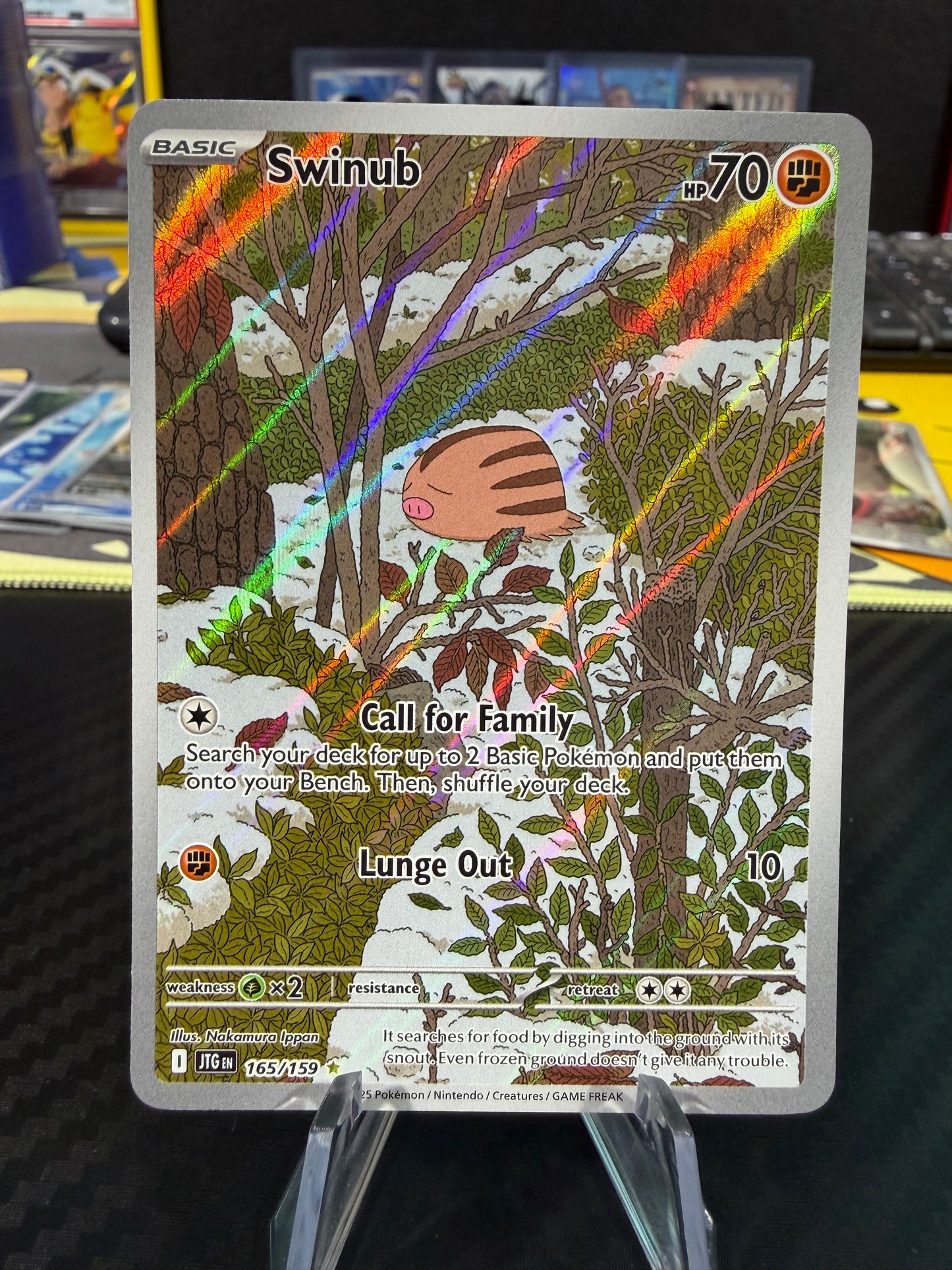 Swinub - 165/159 - Illustration Rare - Journey Together