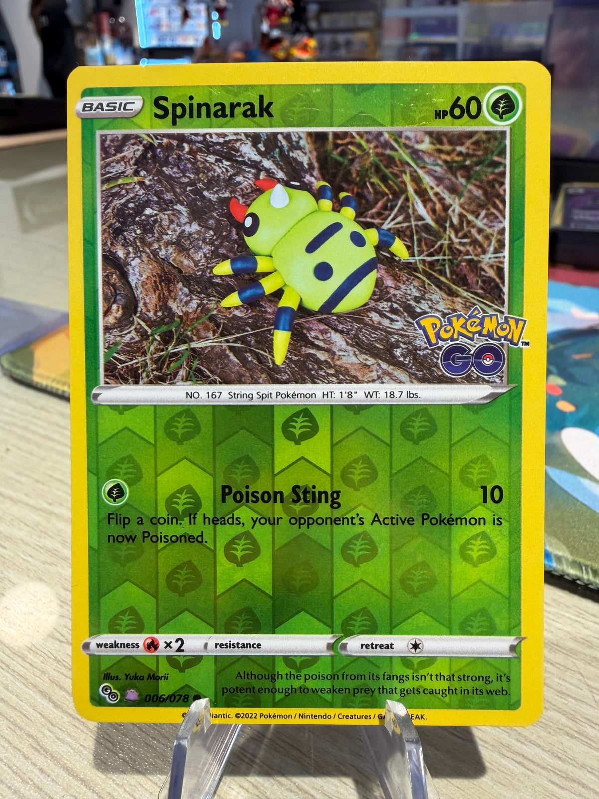 Spinarak - 006/007 - (Unpeeled Ditto) - Pokemon Go