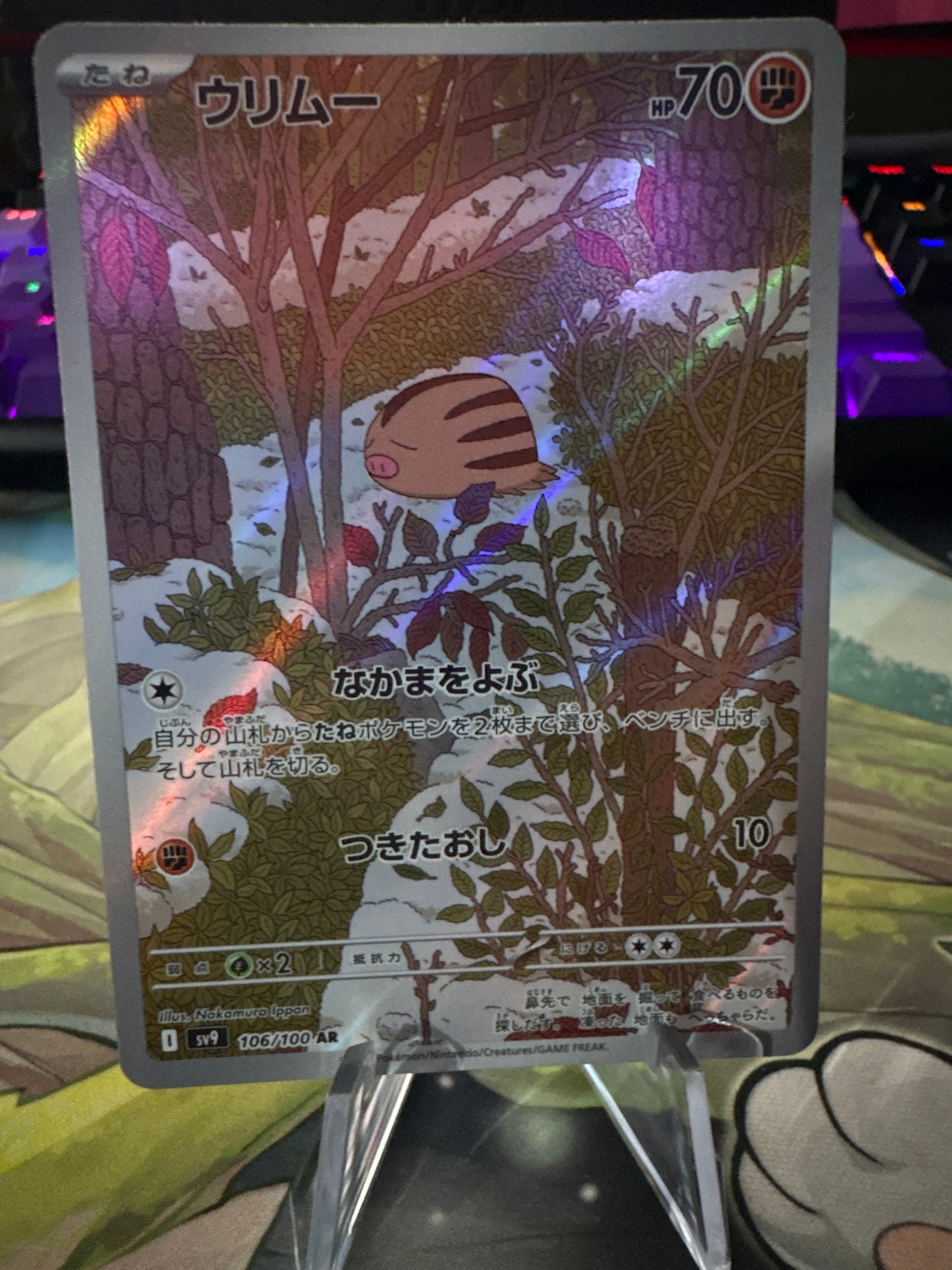 Swinub AR #106 Battle Partners