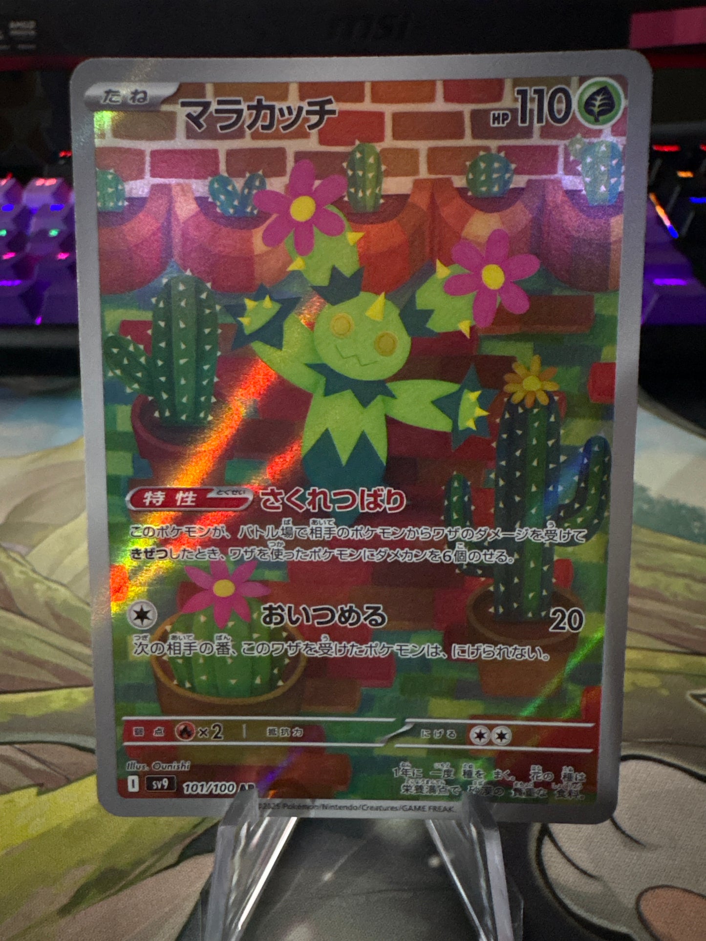 Maractus AR #101 Battle Partners