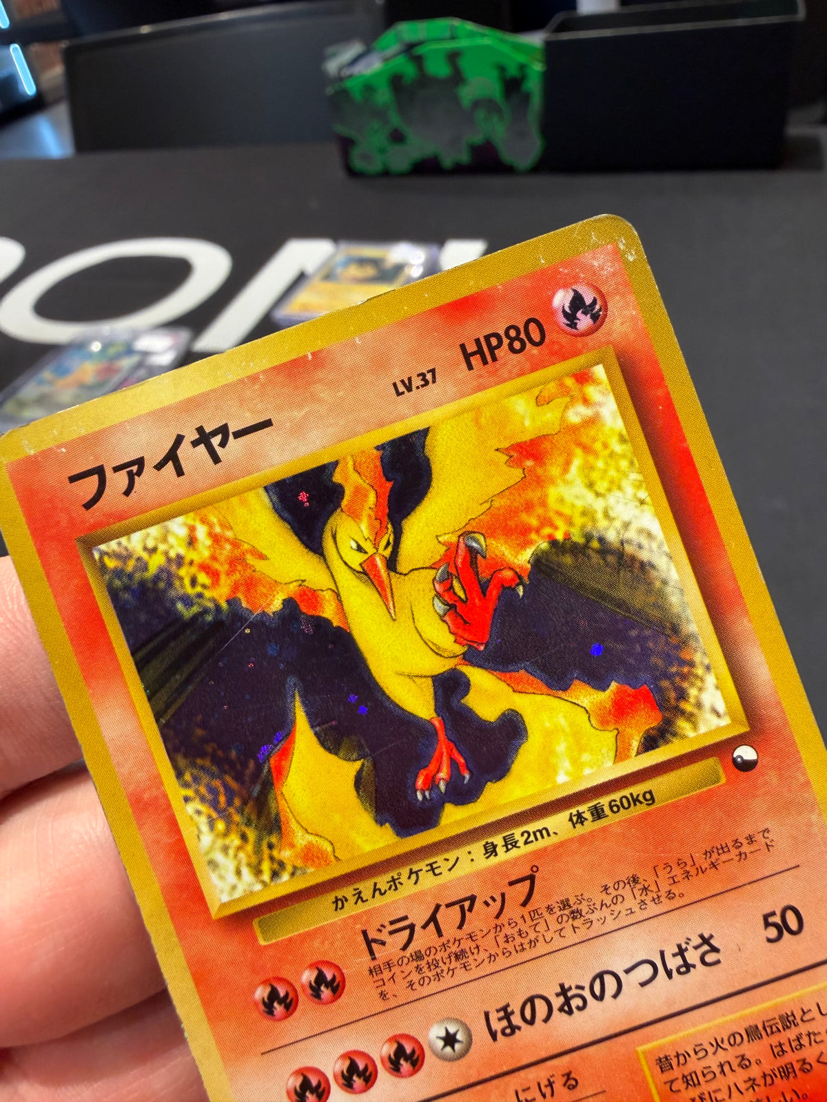 Moltres Holo - No 146 - Red Green Gift Set Japanese