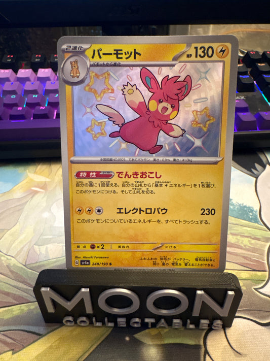 Pawmot #249 - Baby Shiny - Shiny Treasures