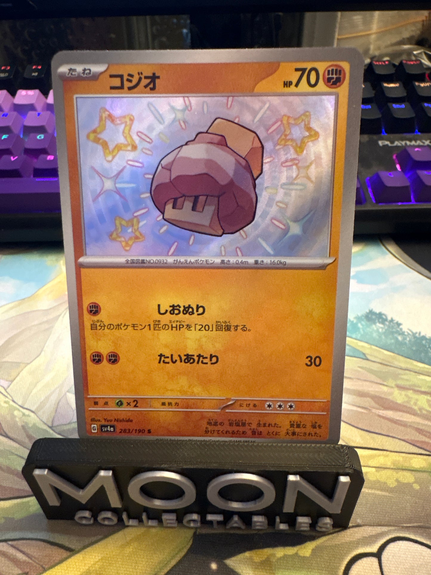 Nacli #283 - Baby Shiny - Shiny Treasures