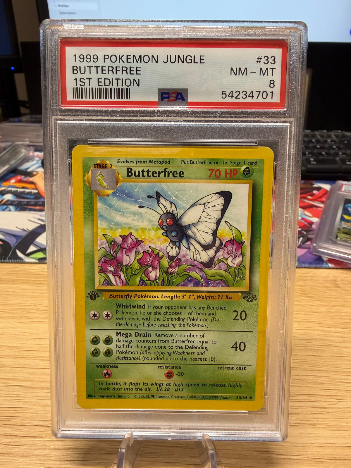 PSA 8 - Butterfree 1st ED - 33/64 - Jungle