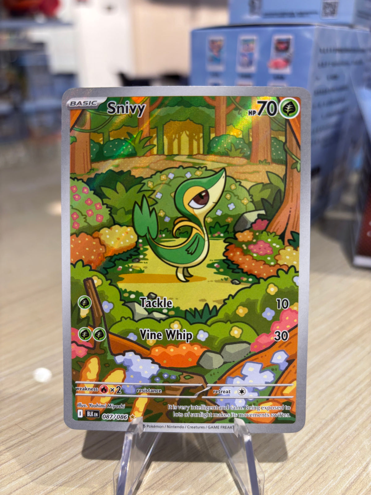 Snivy - 087/086 - Black Bolt