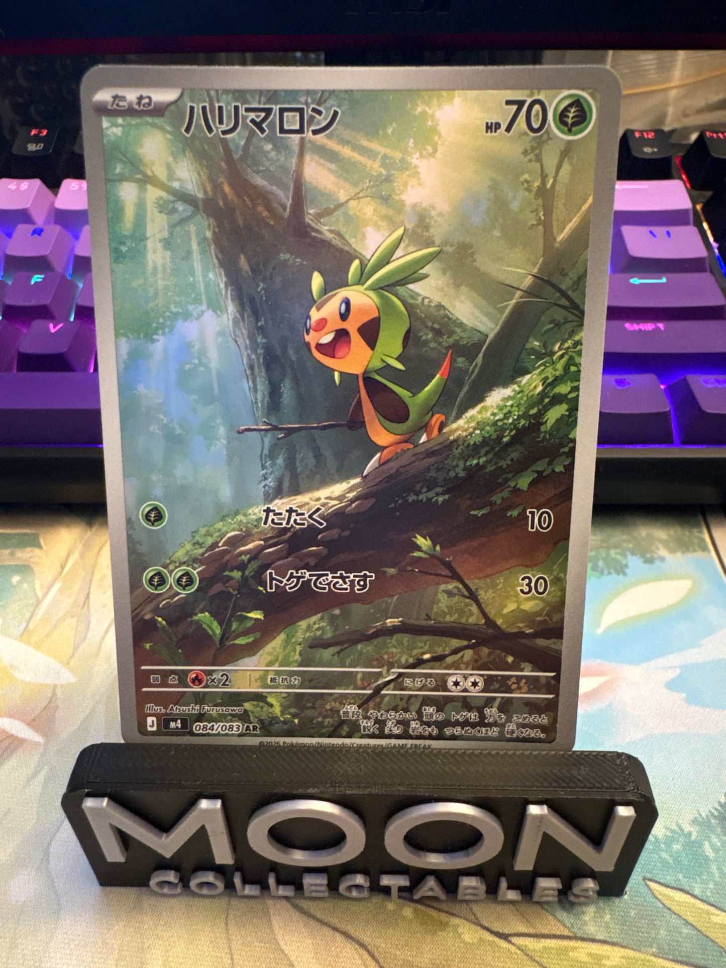 Chespin #84 AR Ninja Spinner
