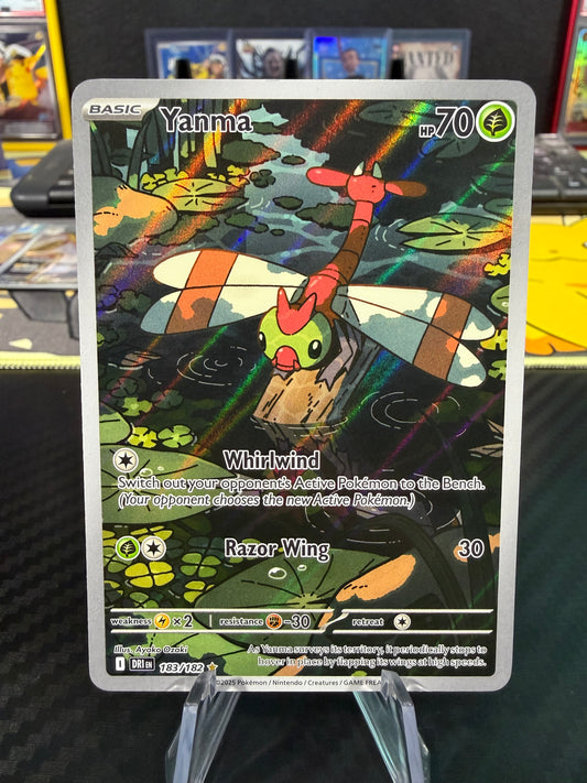Yanma - 183/182 - Illustration Rare - Destined Rivals