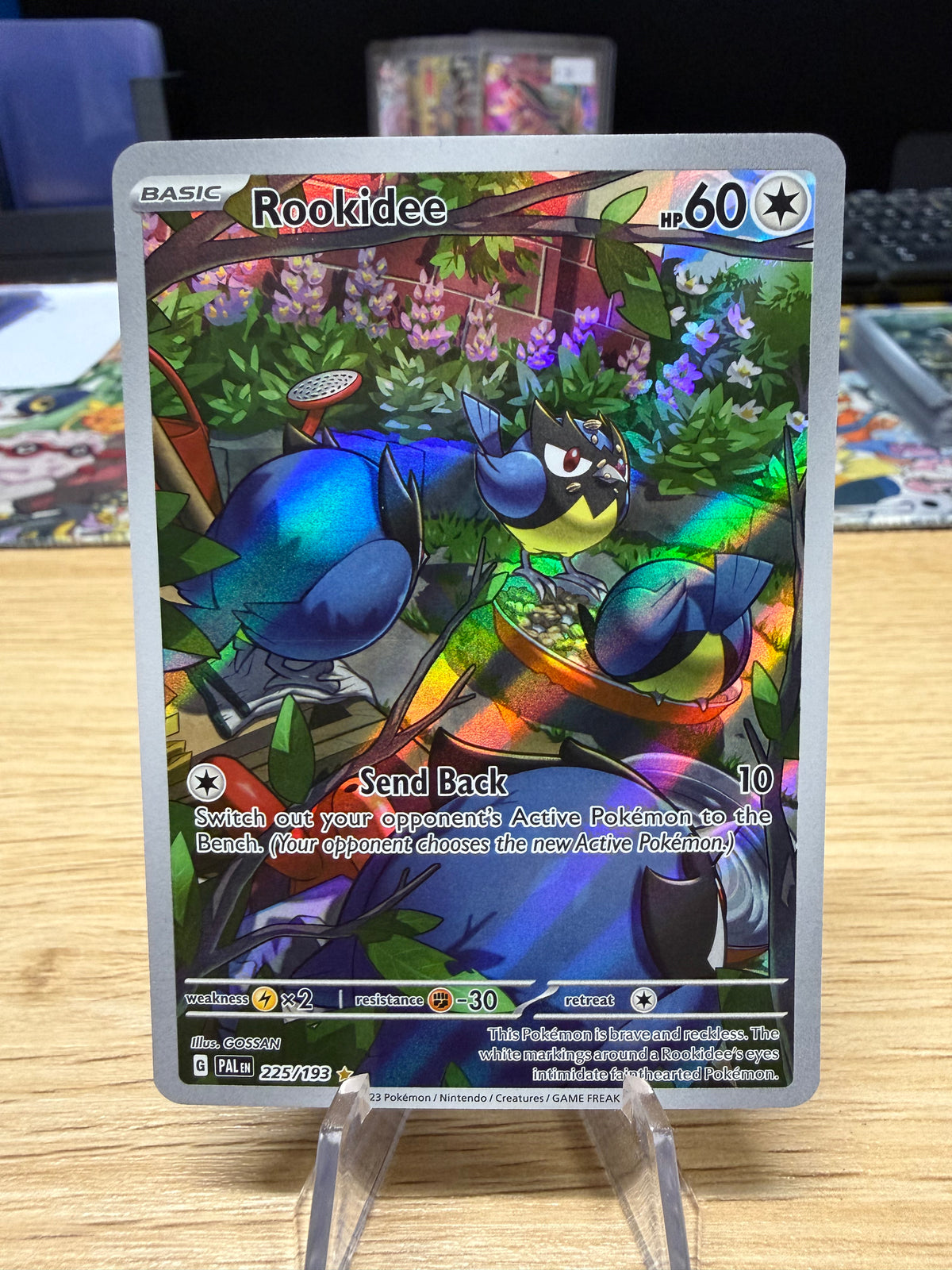 Rookiedee - 225/193 - Paldea Evolved