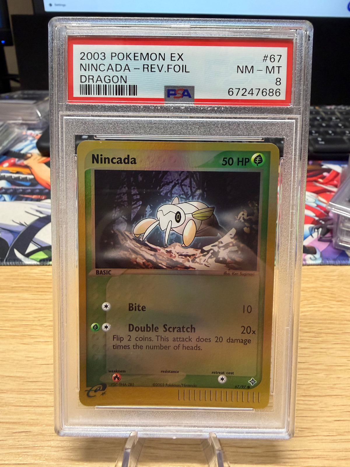 PSA 8 - Nincada - 67/97 - EX Dragon