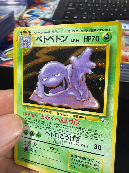 Muk Holo - No. 089 - Japanese Fossil - LP