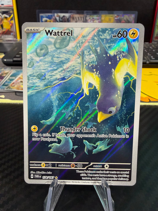 Wattrel - 178/167 - Illustration Rare - Twilight Masquerade