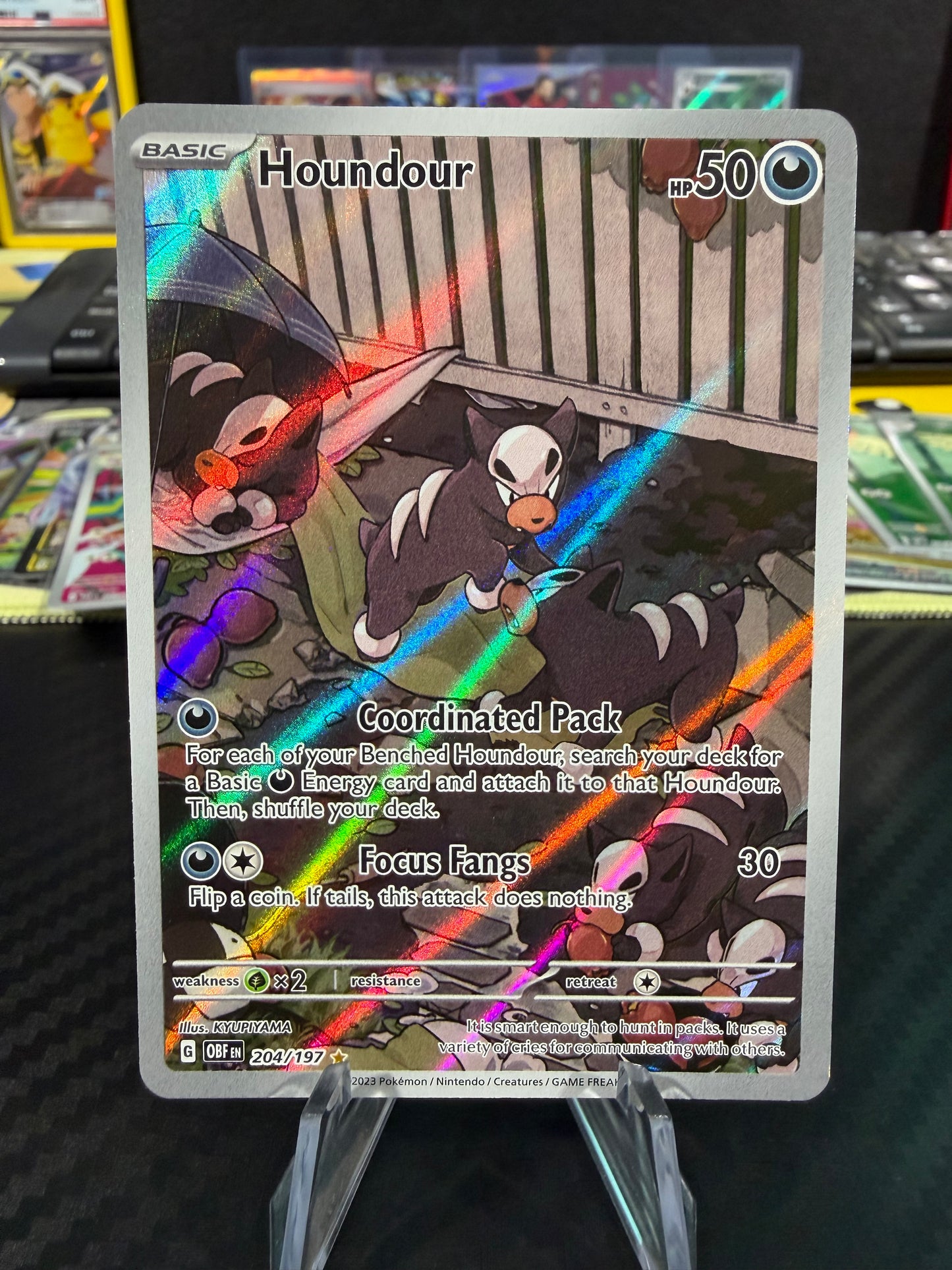 Houndour - 204/197 - Illustration Rare - Obsidian Flames - NM