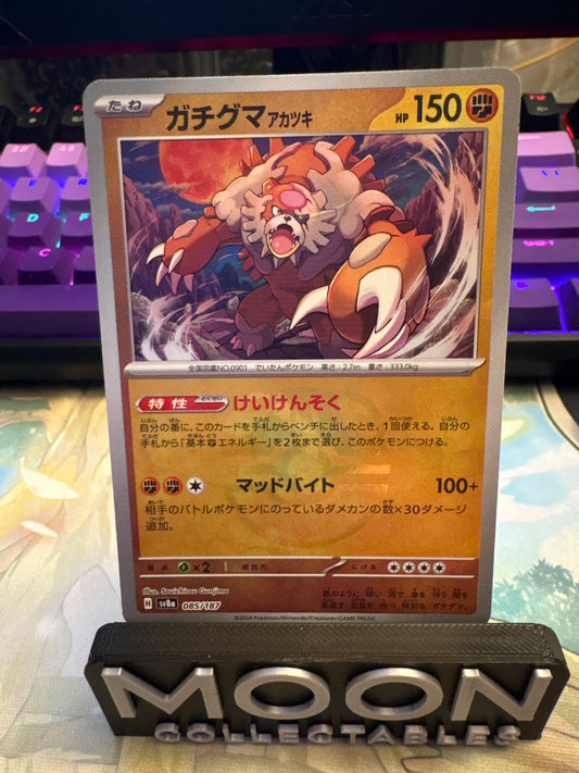 Bloodmoon Ursaluna MasterBall #85 Terastal Festival