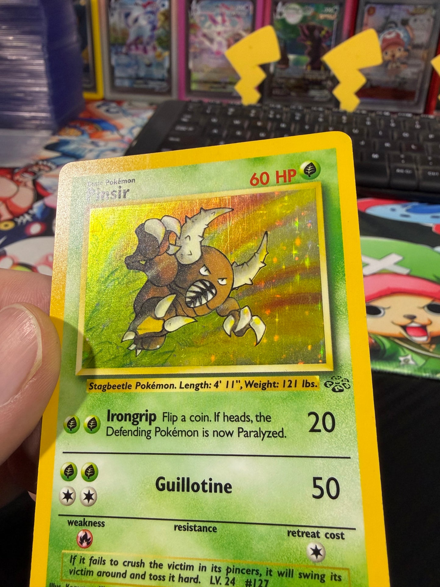 Pinsir Holo - 9/64 - WOTC Jungle - LP