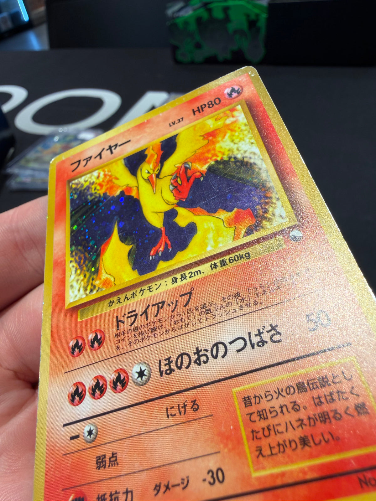 Moltres Holo - No 146 - Red Green Gift Set Japanese