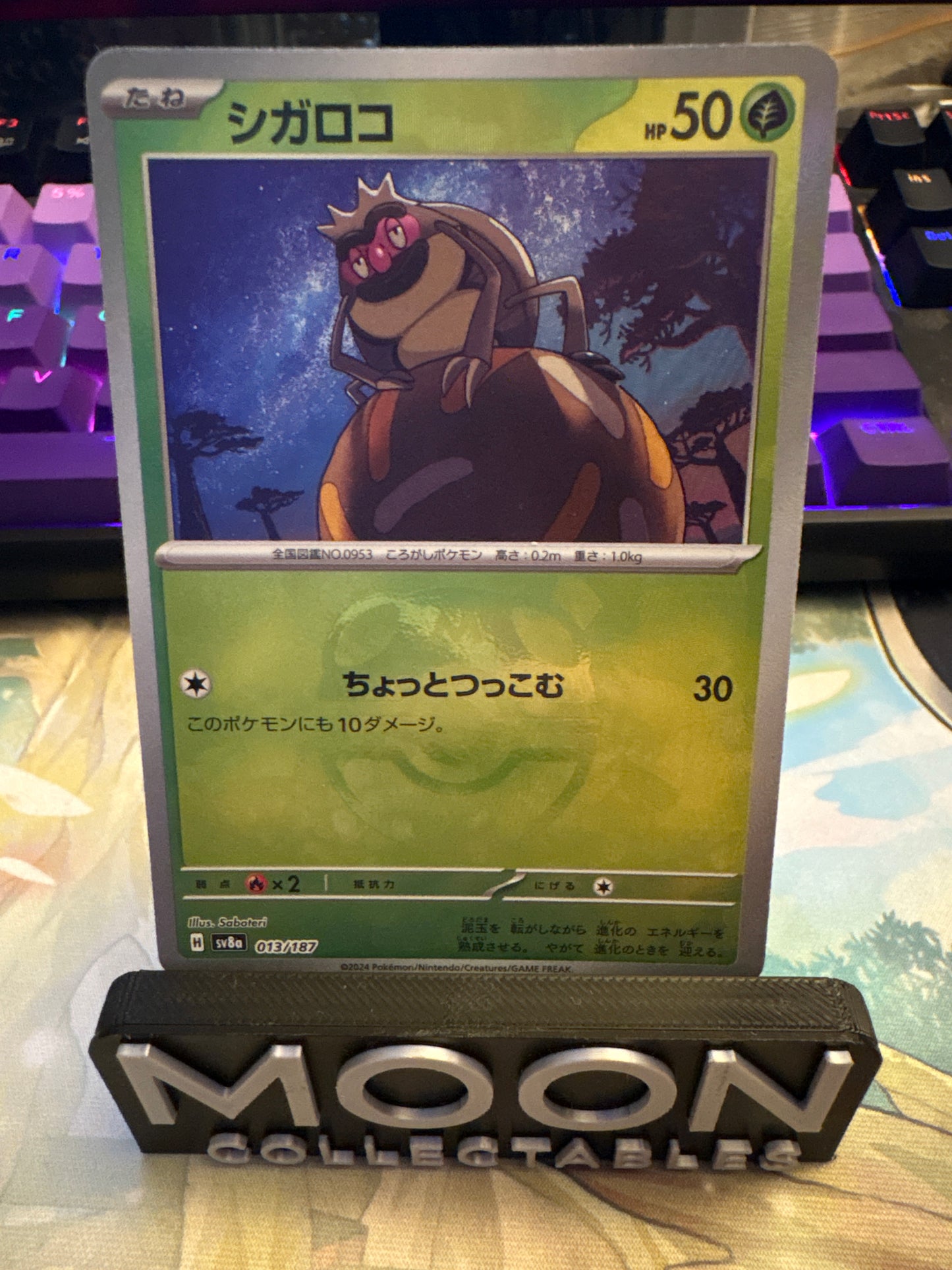Rellor (Master Ball) #13 Terastal Festival