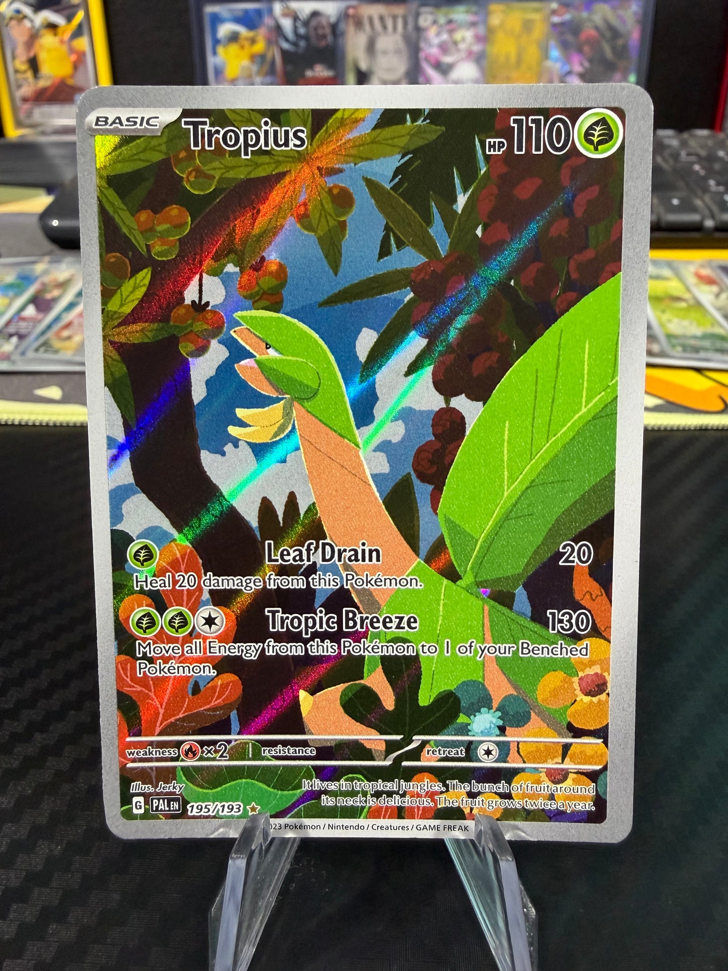Tropius - 195/193 - Illustration Rare - Paldea Evolved