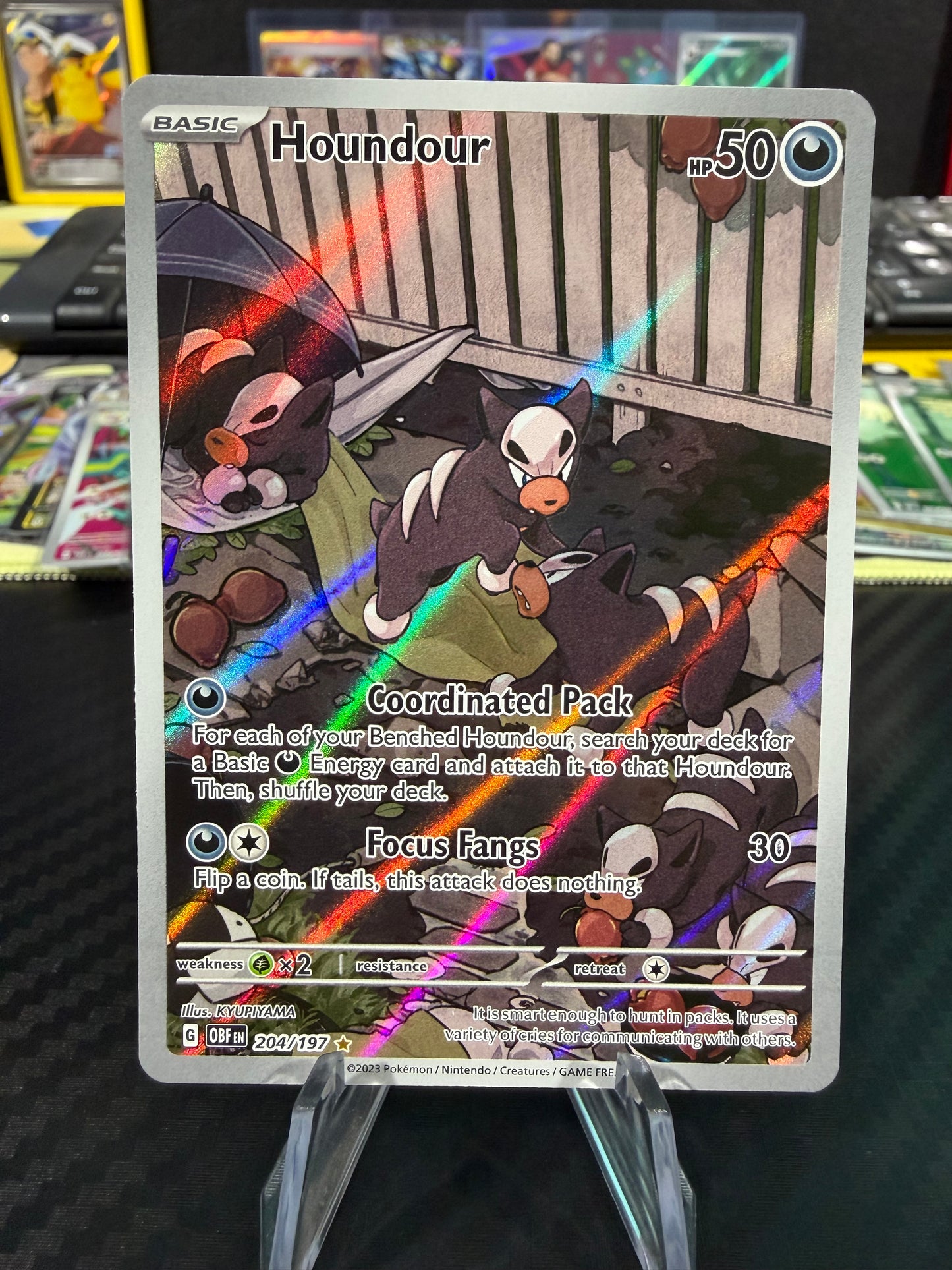 Houndour - 204/197 - Illustration Rare - Obsidian Flames - NM