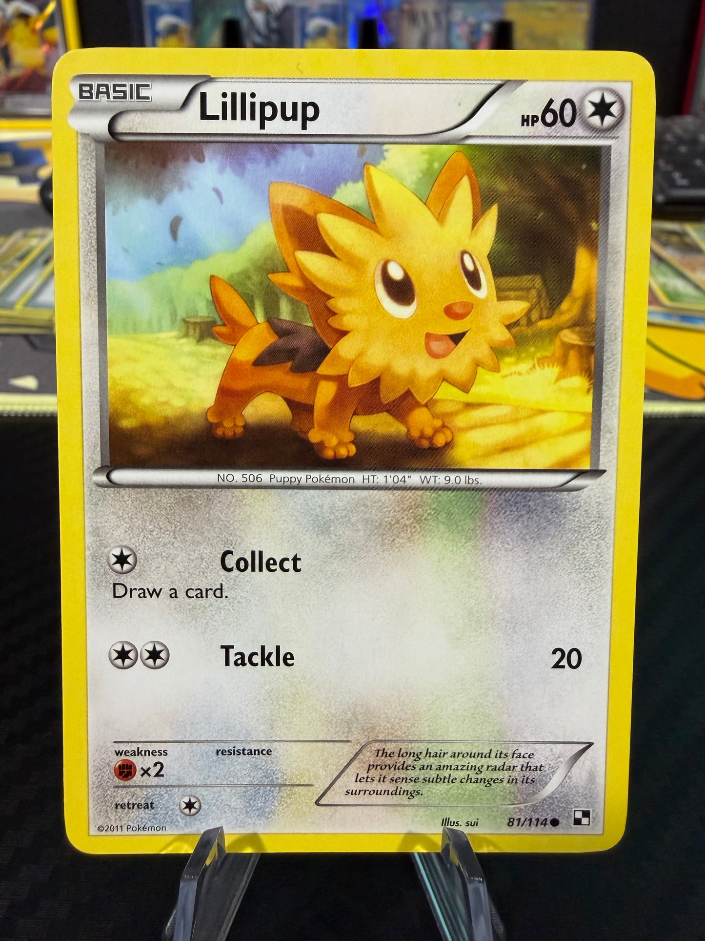 Lillipup - 81/114 - Black & White - LP/NM